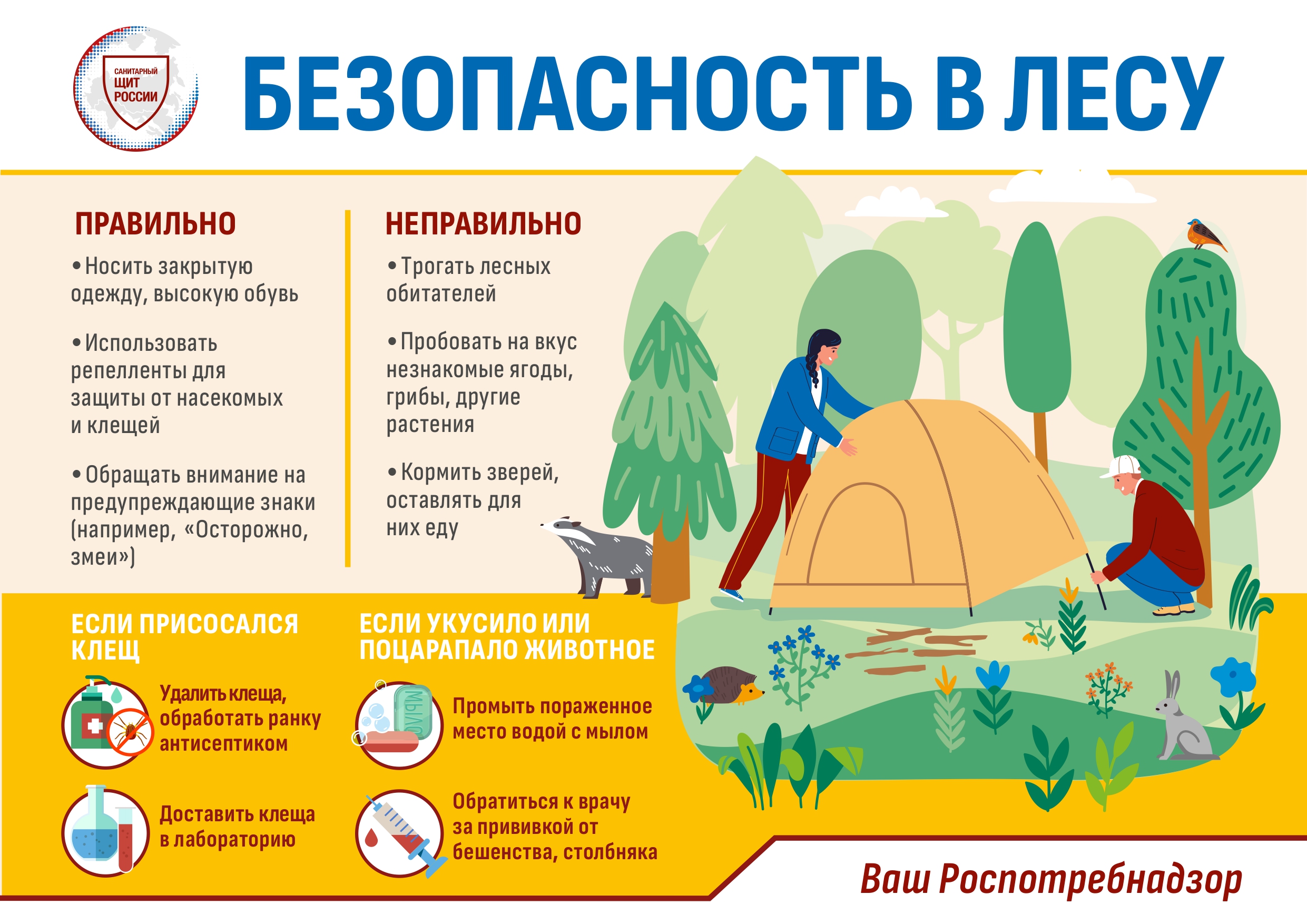 О старте «горячей линии» по вопросам профилактики заболеваний, передающихся с укусом клещей